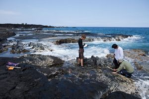 Three people stand on rocks along the ocean coast and perform scientific studies.