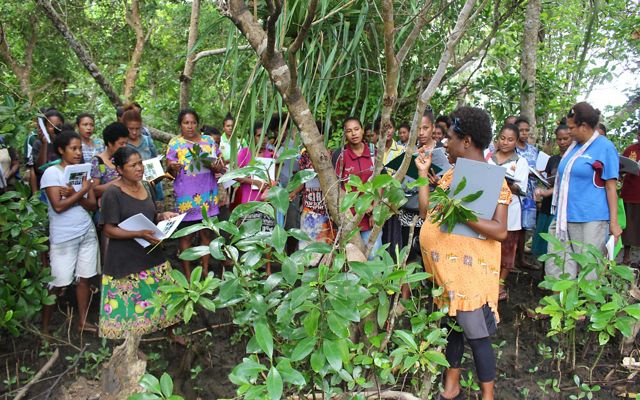 for ecological training for women in Alotau in Milne Bay, Papua New Guinea. The women learned about different mangrove species and how to restore them.
