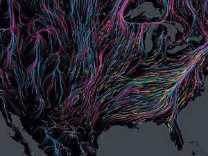 An interactive migration map shows mammal paths in pink, birds in blue, and amphibians in yellow.