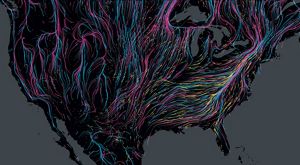 Colorful lines show the migration routes of mammals, birds and amphibians across the United States, represented as a large black land mass.