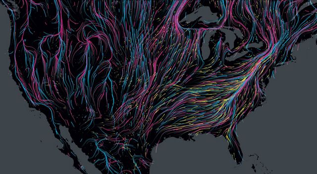 A black map of the United States uses different neon colors to highlight bird migration routes.