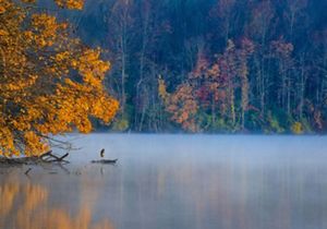 A misty view of a body of water surrounded by trees with orange and yellow leaves.