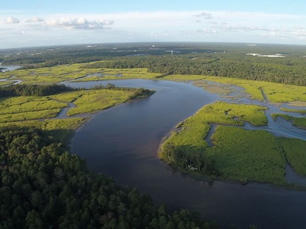 Aerial view of the Maurice River.