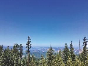 Vista outlook at treetops with a mountain range in the background.