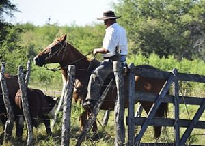hombre montado en un caballo detras de una cerca.