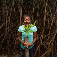 A woman stands in front of a web of mangrove roots and branches holding a young mangrove tree.
