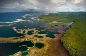 aerial view of mangroves.