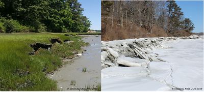 Left image showing grassy eroded coastline in summer and right image showing same icy coastline eroding in winter.