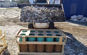 Tractor dumps shells into tubes to sort into fiber bags