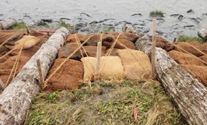 Fiber bags filled with shell tied down under logs.