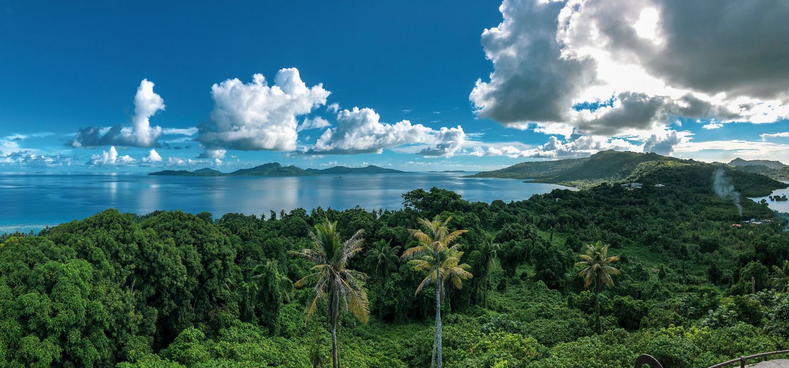 expansive view of green islands rising up out of blue ocean with palm trees in foreground