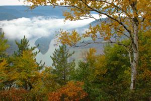 Four mountain ridges roll across the landscape into the misty distance. Heavy white fog fills the valley in the background. The foreground is filled with low plants with green and gold leaves.