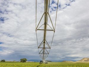 Meaker Farm, Montrose, Colorado. Circle irrigation is used in a test plot on the farm, in hopes of saving water. This is one of the sites toured by the Nature Conservancy in tandem with Pepsico demonstrating forest and fire management, and irrigation efficiency projects. 
