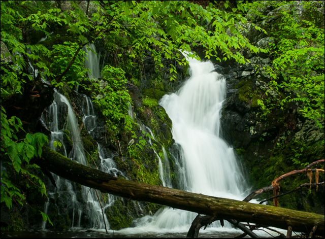 A multi‑tiered waterfall spills through bright green vegetation into a dark pool.