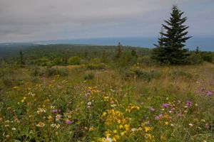 Landscape scenic view of grassy, wildflower-filled fields from the summit of Brockway Mountain in Michigan's Upper Peninsula.