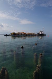 Reef appears below the water. A boat in the distance distributes materials for restoration.