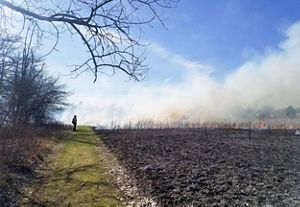 A person walks along a fire line as a controlled burn is conducted in Michigan. The land in the foreground is dark. Flames rise from land in the distance. 