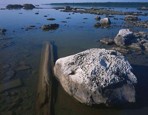 Rocks in the water along the shoreline. 