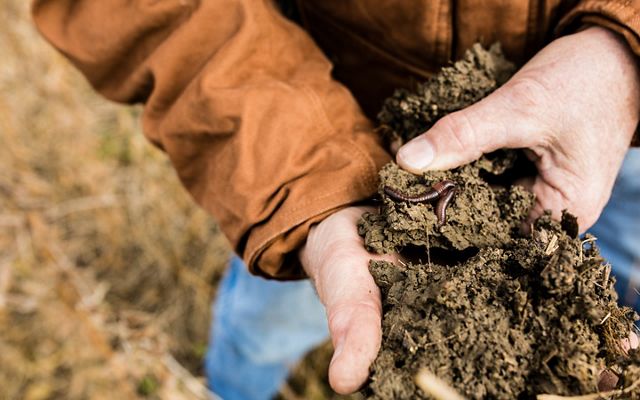 Fifth generation Mike Werling delights in watching earthworms forage at night on his farm and says he typically finds half a dozen in a shovel scoop.