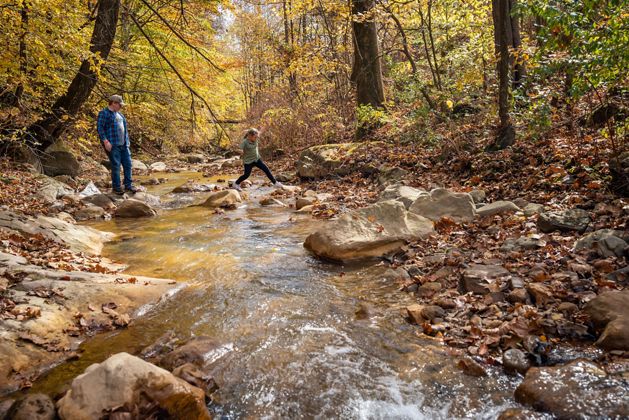 An adult and a child jump rocks to cross a stream in the forested mountains of Kentucky.
