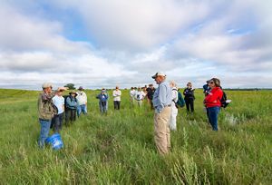 A group of people stand in a field conversing.
