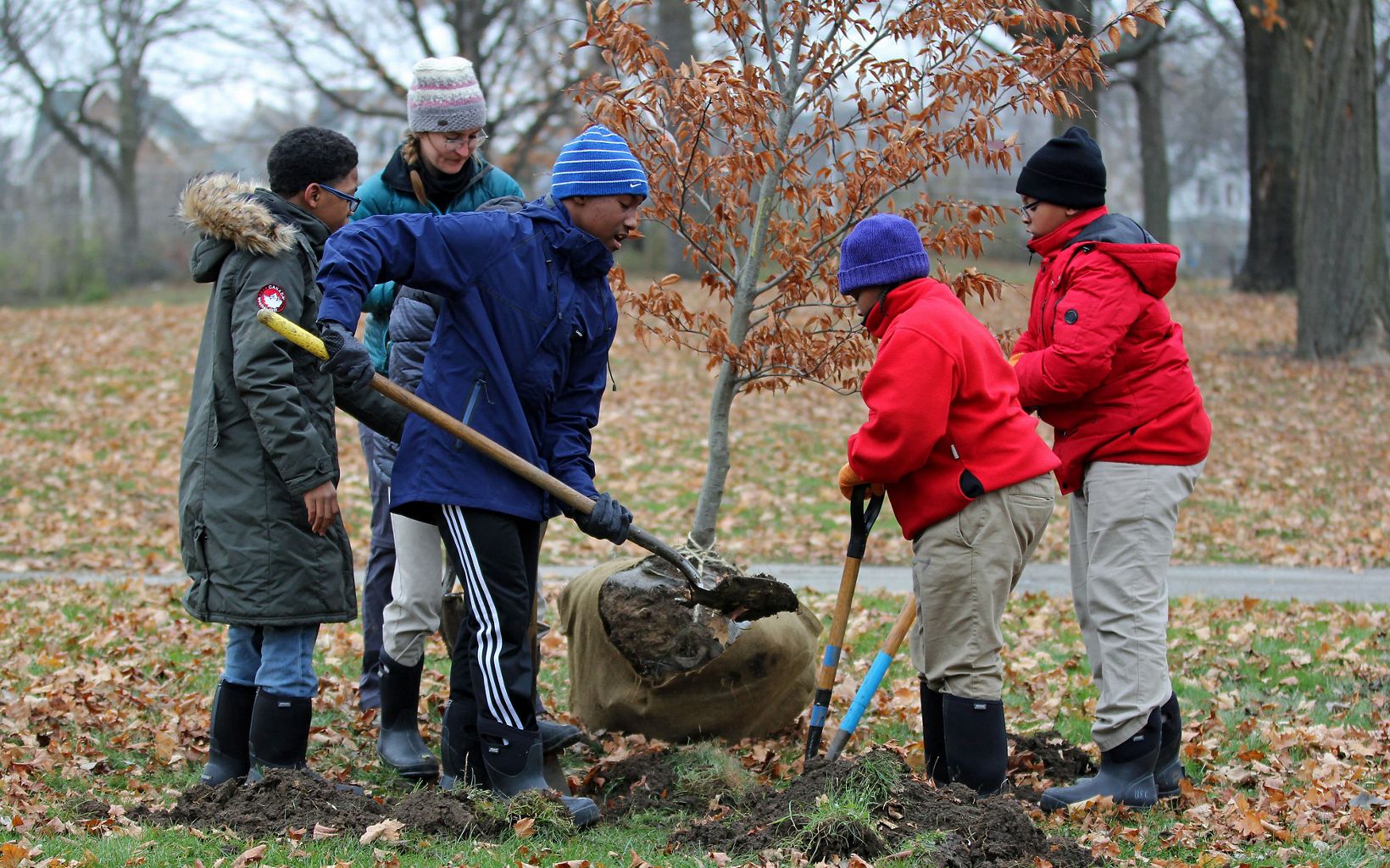 
                
                  Milwaukee Tree Planting:  Students plant trees with the Urban Ecology Center in Washington Park.
                  © Jajuan Lyons/TNC
                
              