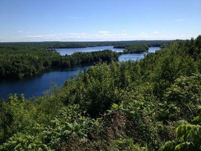 Elevated view of a lake surrounded by dense forest in summer.