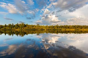 A blue sky with white clouds is reflected on the still waters of Mink River with green trees on the far side of the lake. 