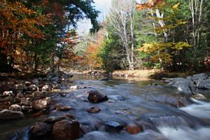 A river runs over some rocks through the forest. Some of the trees are turning yellow and orange.