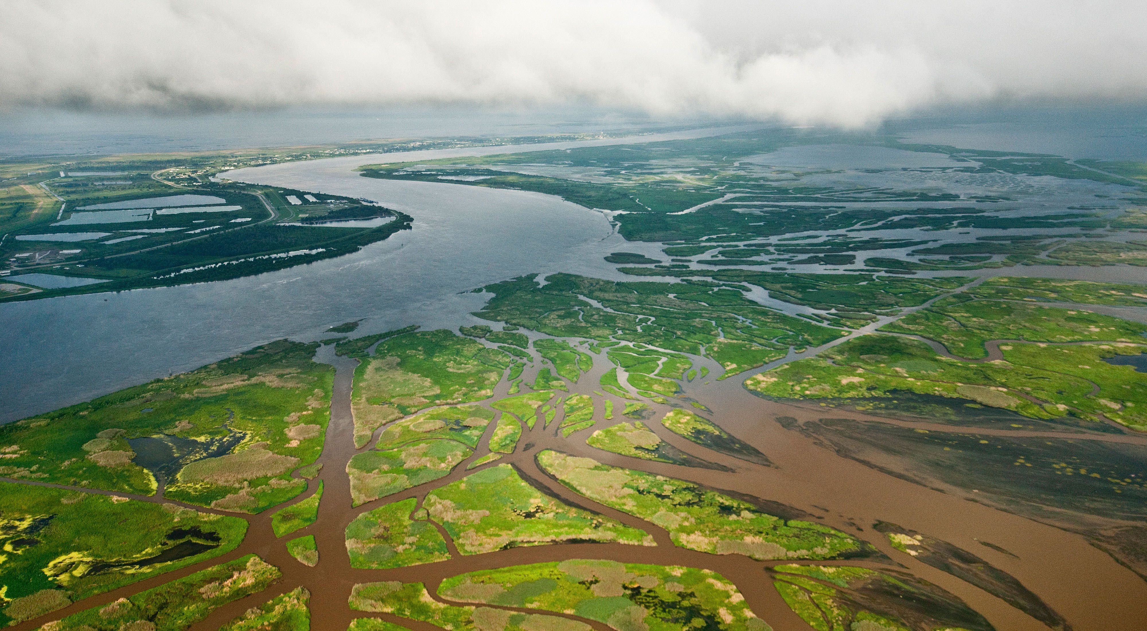 Aerial view of the Mississippi River and many tributaries criss-crossing green wetlands in the Mississippi Delta.