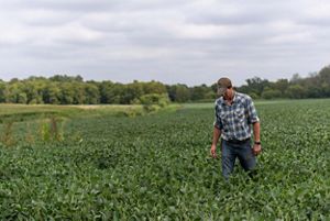 A farmer in a plaid shirt and cap walks through a field of green agriculture.