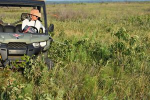 A man sits in a UTV on an open prairie spraying invasive plants.