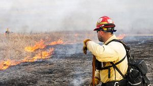 A man in fire gear watches over a burning field. 