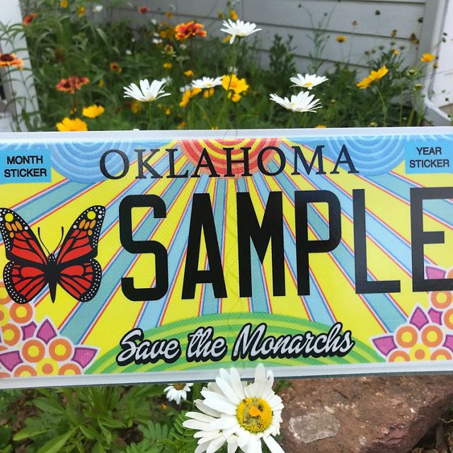 Monarch license plate in front of Oklahoma native wildflowers.