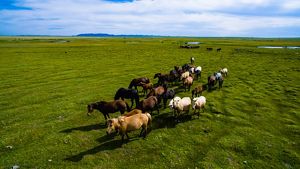 Mountains in the Khentii province of eastern Mongolia.