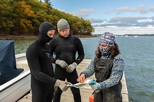 Two people in wetsuits and one in waterproof overalls stand on a dock looking at a map together.