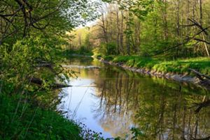 A stream meanders through a wooded area, with short dirt banks on either side.