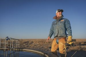 Person looks off into the distance at sunset.