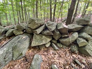 A low, loose wall of irregular rocks, with open woods behind it.