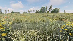 Mock-up of prairie habitat with grassy plants and a few trees.