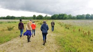 A small group of people walking in a grassy field.