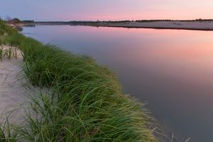 The sun sets on the Missouri River, turning the sky pink and the water pink with the sky's reflection; tall green grasses grow at the river's edge in the foreground.