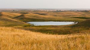 Overlooking the Missouri Coteau at the Davis Ranch in North Dakota that provides resilient habitat for nesting waterfowl in the face of climate change.
