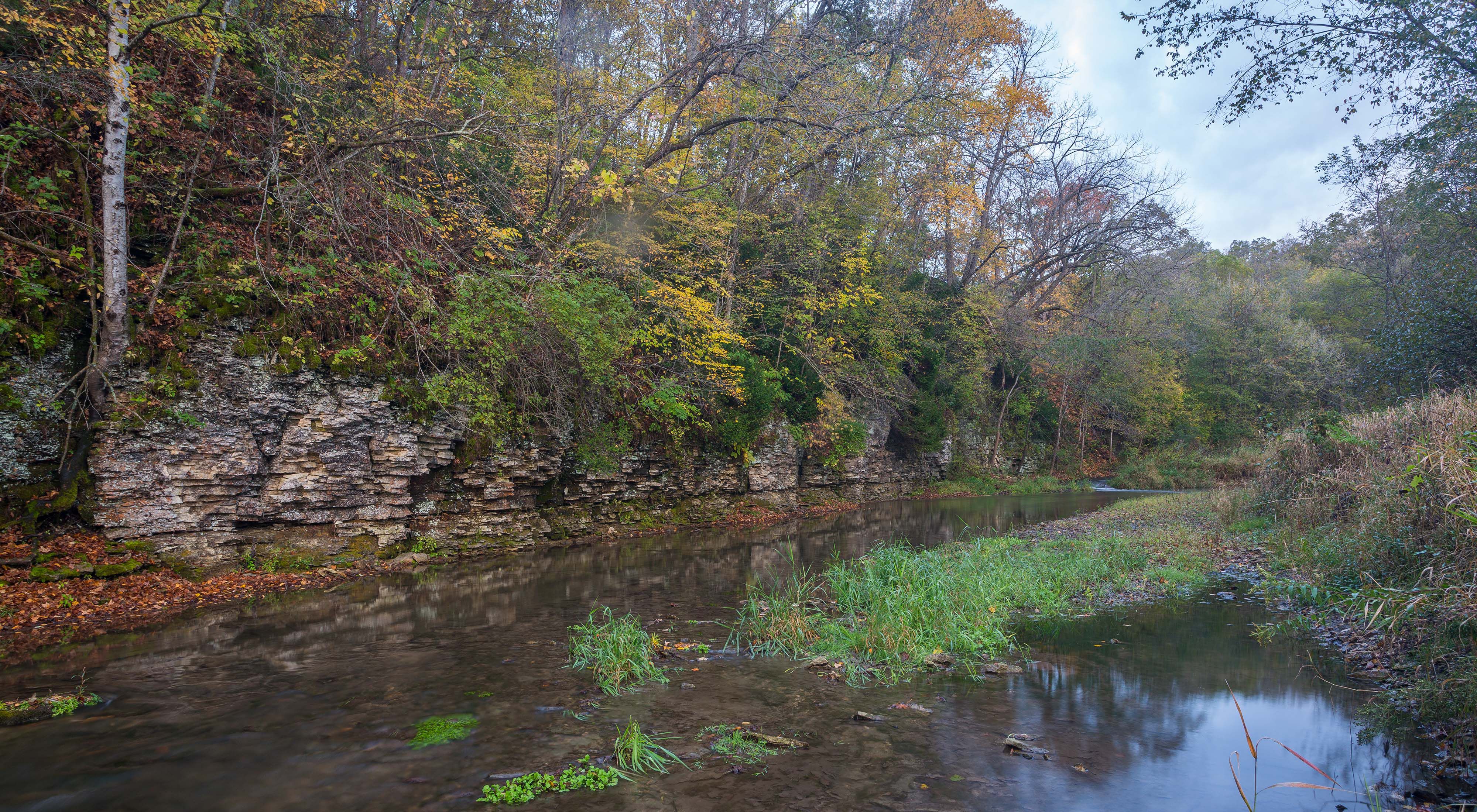 The calm, flat waters of a spring flow past a wall of rock and forest at Seven Springs WMA.