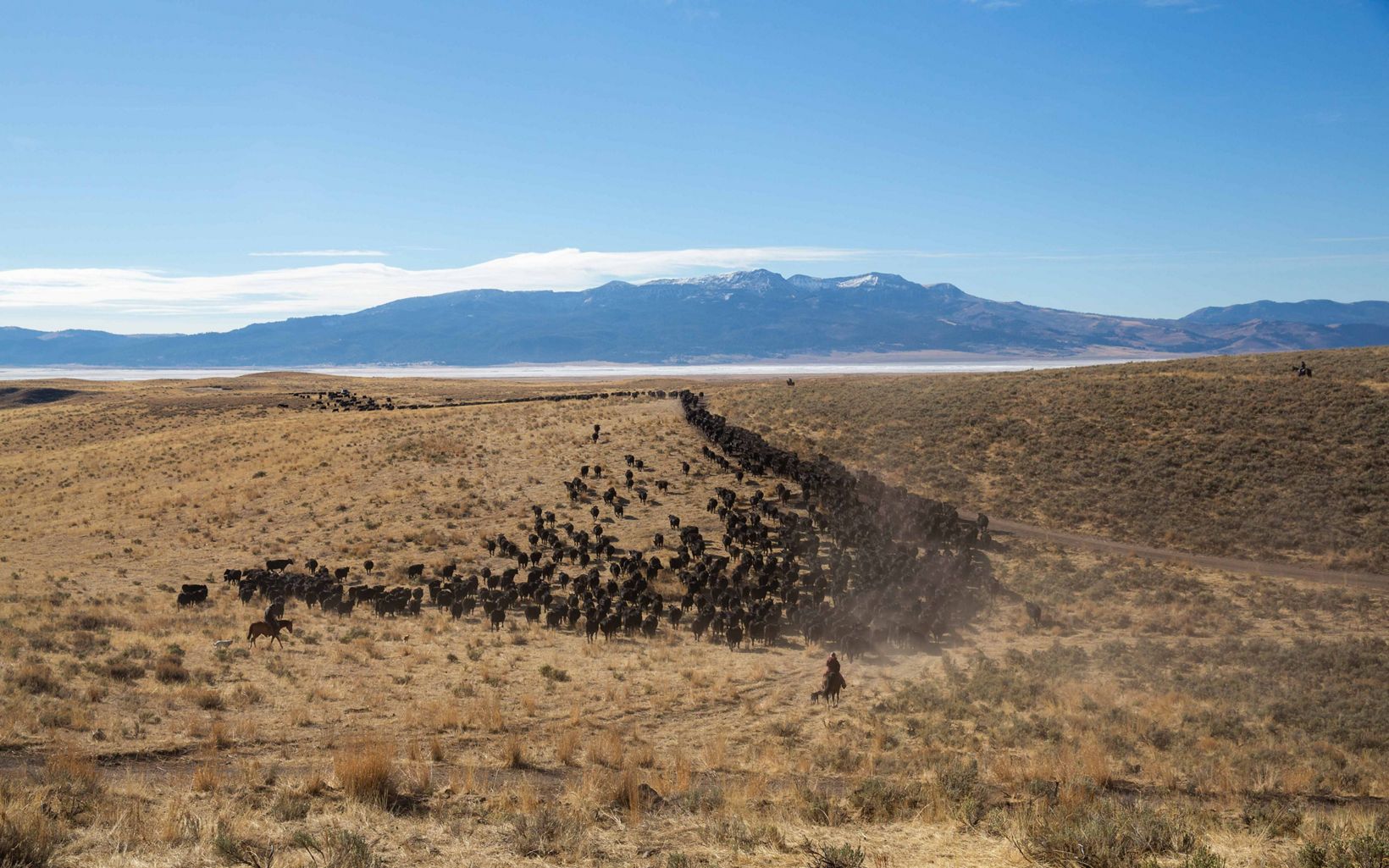 
                
                  Watershed Moment Ranchers like the Martinells rely on a stable water supply and have partnered with TNC to improve water efficiency on the ranch as well as improve habitat for sage-grouse.
                  © Louise Johns
                
              