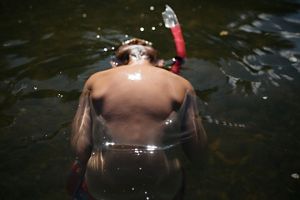 A young boy's back is visible as he uses a snorkel to dip his head into murky water. Sunlight is creating sparkly spots in the water and on his back.