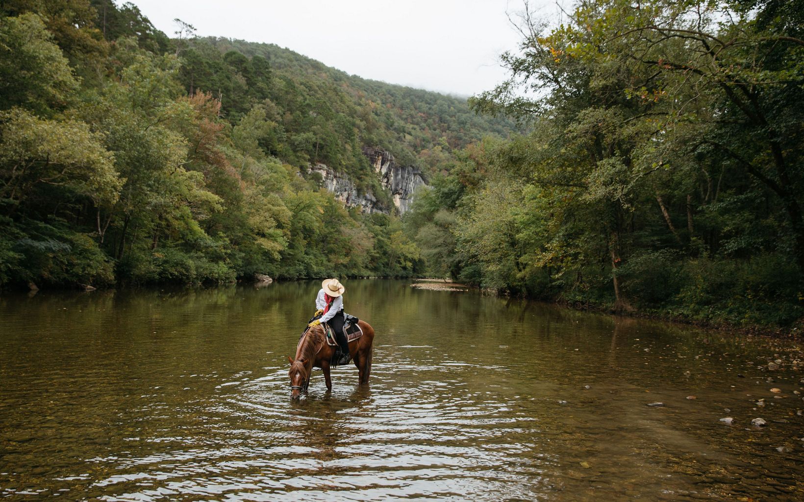 
                
                  Water Break Elaine Appeal of the Buffalo River Back Country Horseman stops with her horse in the Buffalo National River, the first in the U.S. to be designated a national river in 1972.
                  © Terra Fondriest
                
              