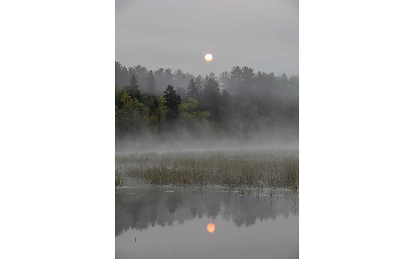 
                
                  Starting Point Haze from California wildfires obscures the sun near waters at Itasca State Park. Lake Itasca is the start of the Mississippi River. 
                  © Ackerman + Gruber
                
              