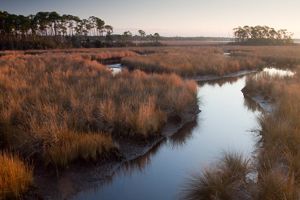 A stream meanders through autumn-colored marshlands. 