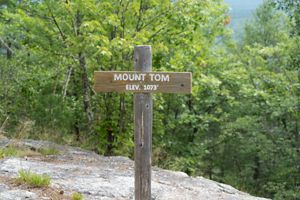 A wooden summit sign on a signpost reads Mount Tom elev. 1,073.